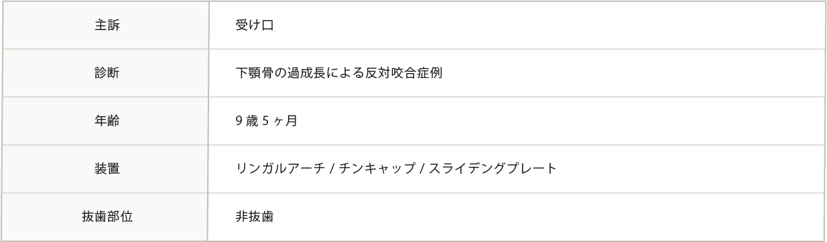 主訴~抜粋部位までの表